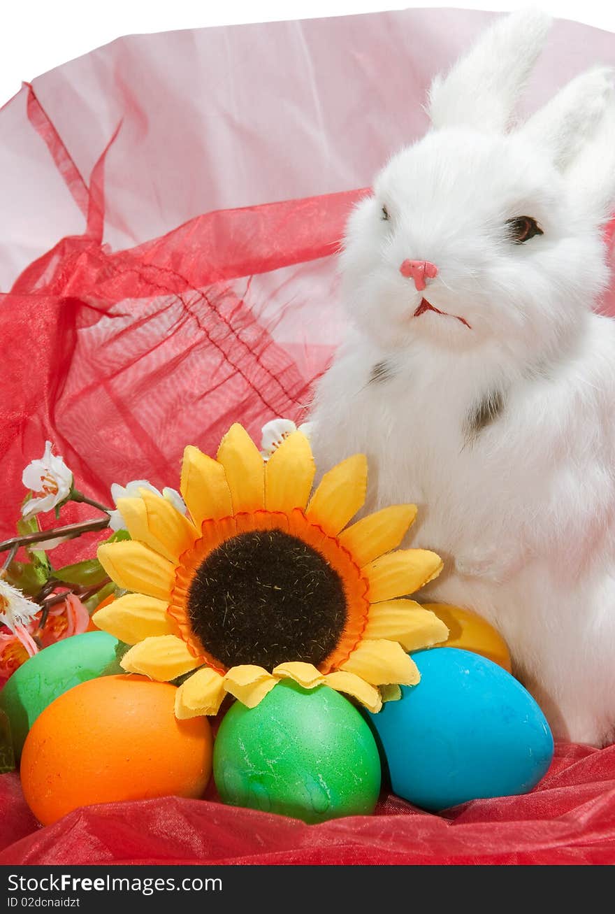 Cute little rabbit in basket with flowers