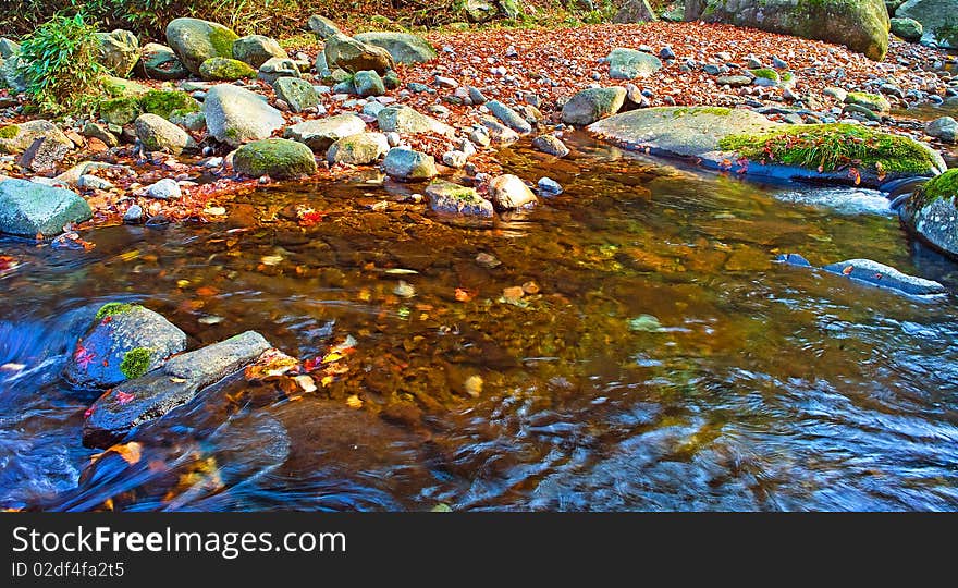 Autumn Forest Stream