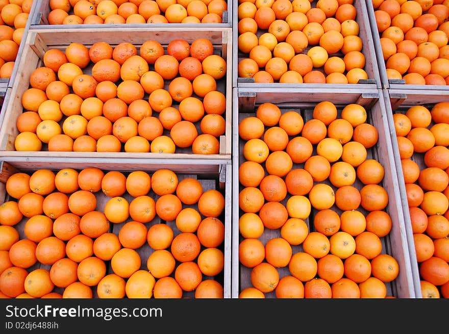 oranges on the market