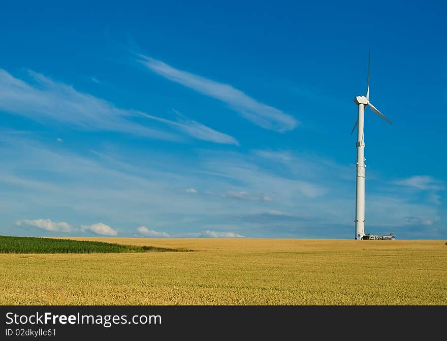 Wheaten field with a mill in a clear flying weather. Wheaten field with a mill in a clear flying weather.