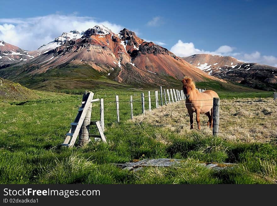 Typical landscape on the east od iceland. Typical landscape on the east od iceland