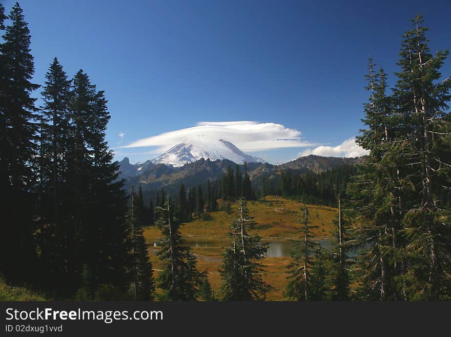 Mt. Rainier rises above the forests of Washington state.