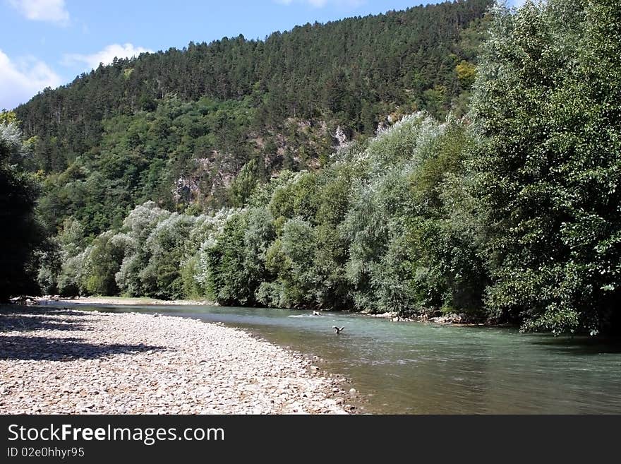 Walk by the river