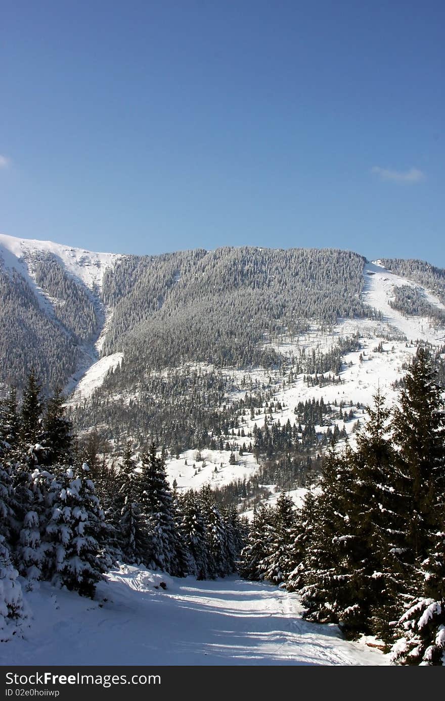 Taking a walk in the Romanian mountains during winter. Taking a walk in the Romanian mountains during winter