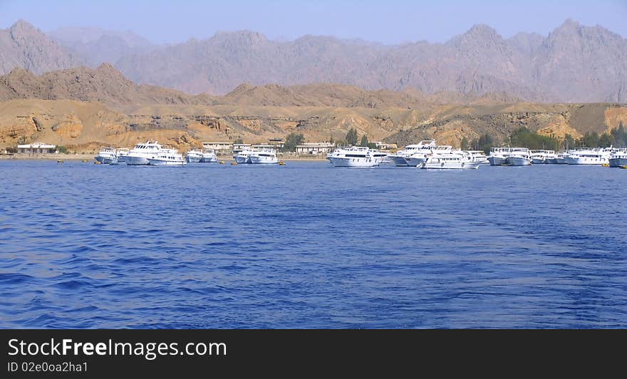 Yachts In Red Sea