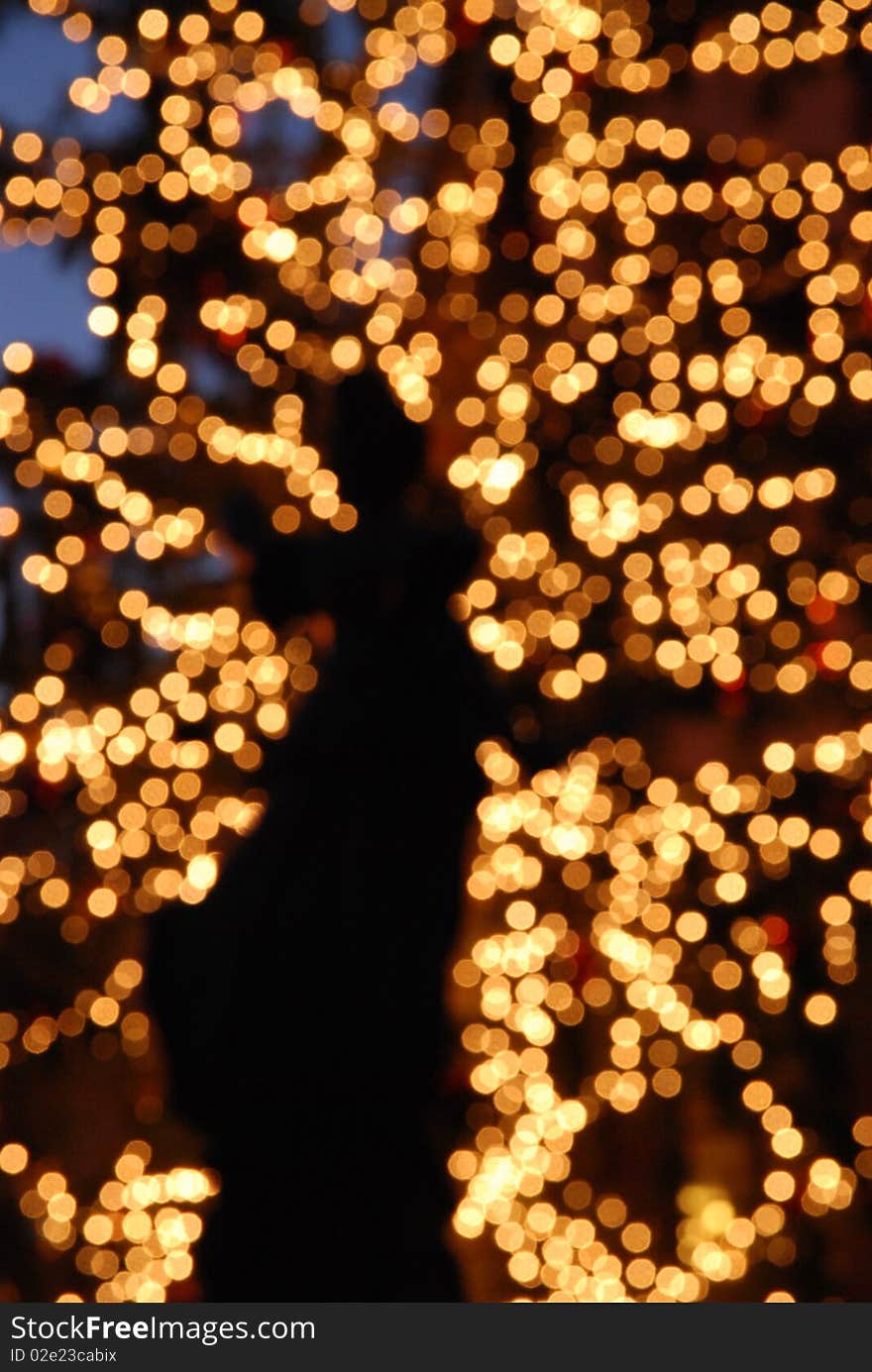 Figure In Front Of Christmas Tree