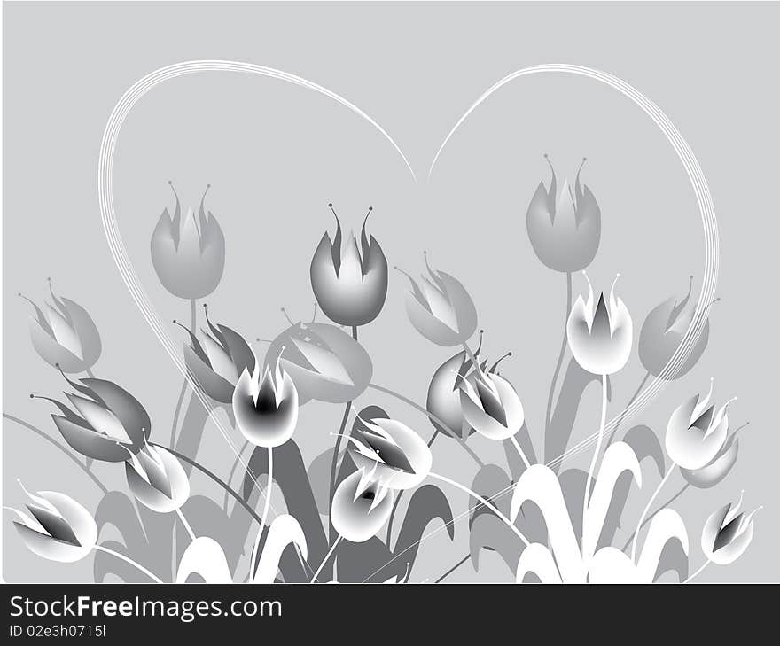 Gray Tulips