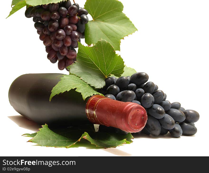 Grapes are very useful fruit. Grapes are very useful fruit