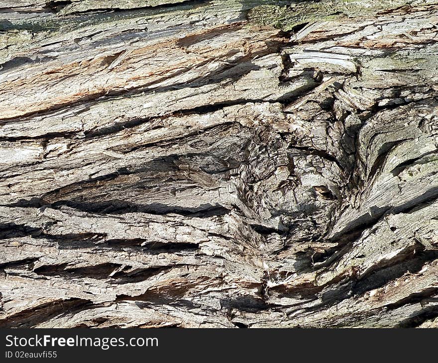 Old rough tree bark suitable as background. Old rough tree bark suitable as background