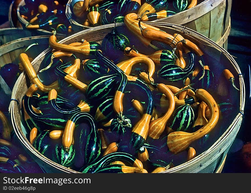 Gourds In Baskets