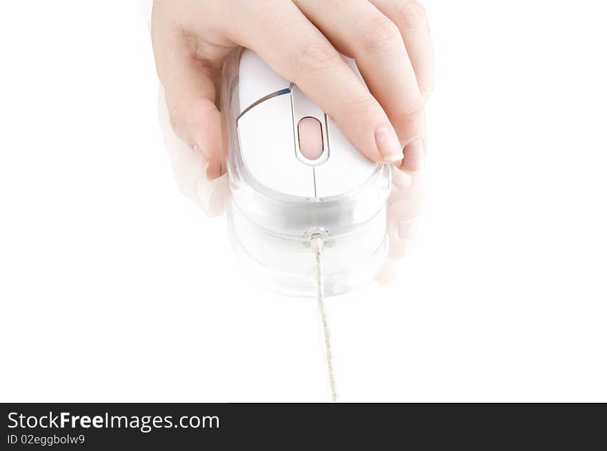 Computer mouse in hand on a white background