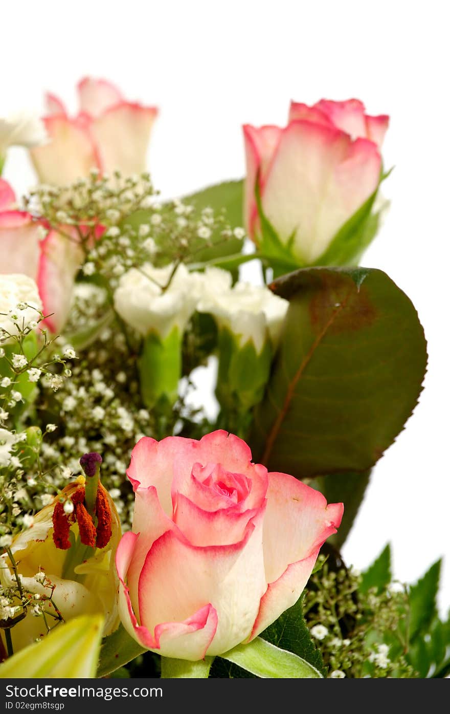 Bouquet flowers taken on a clean white background