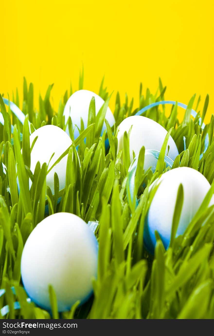 Easter eggs in green grass