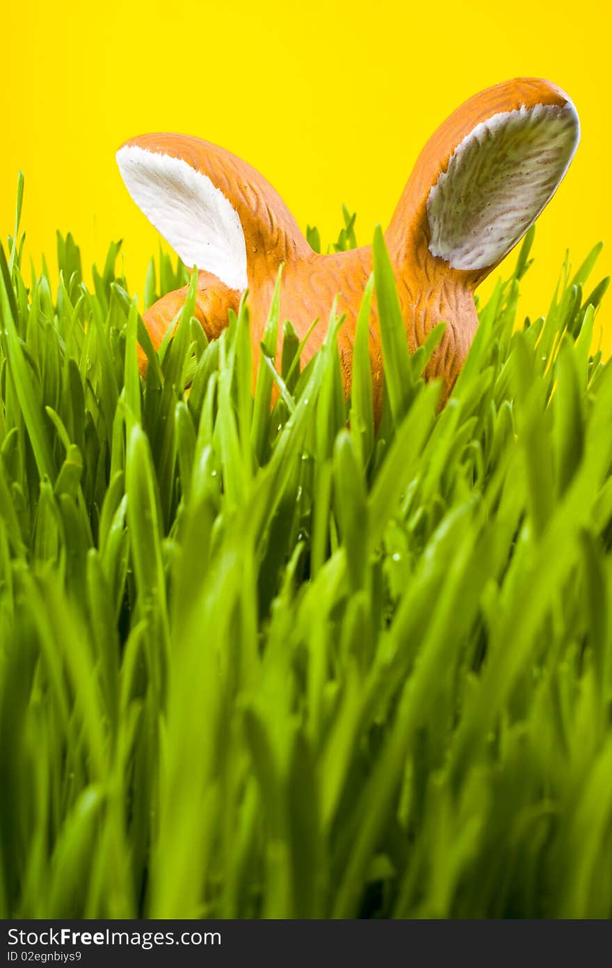 Easter bunny in green grass