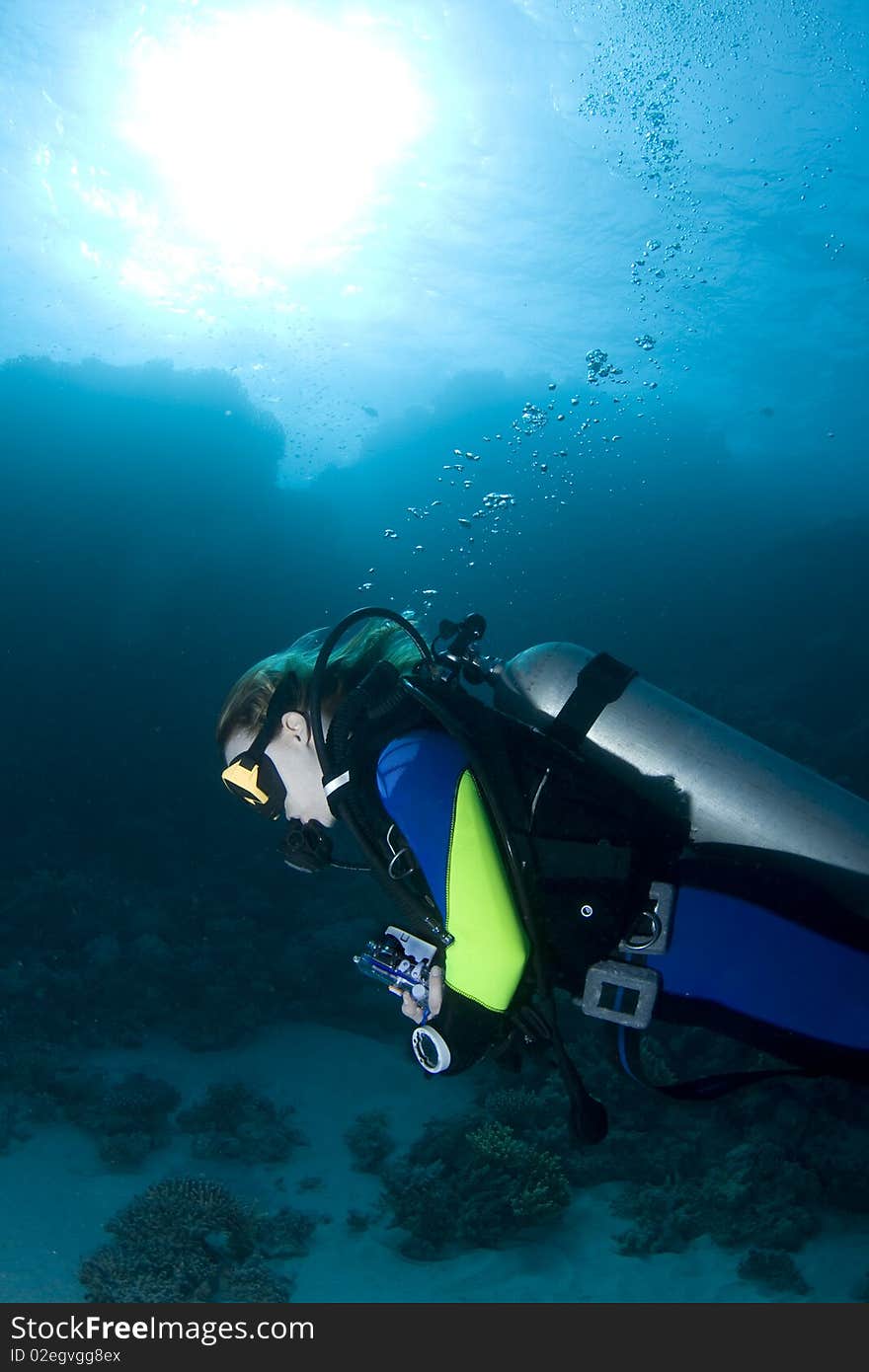 Female diver in the Red Sea, Egypt, with a sunburst in the background