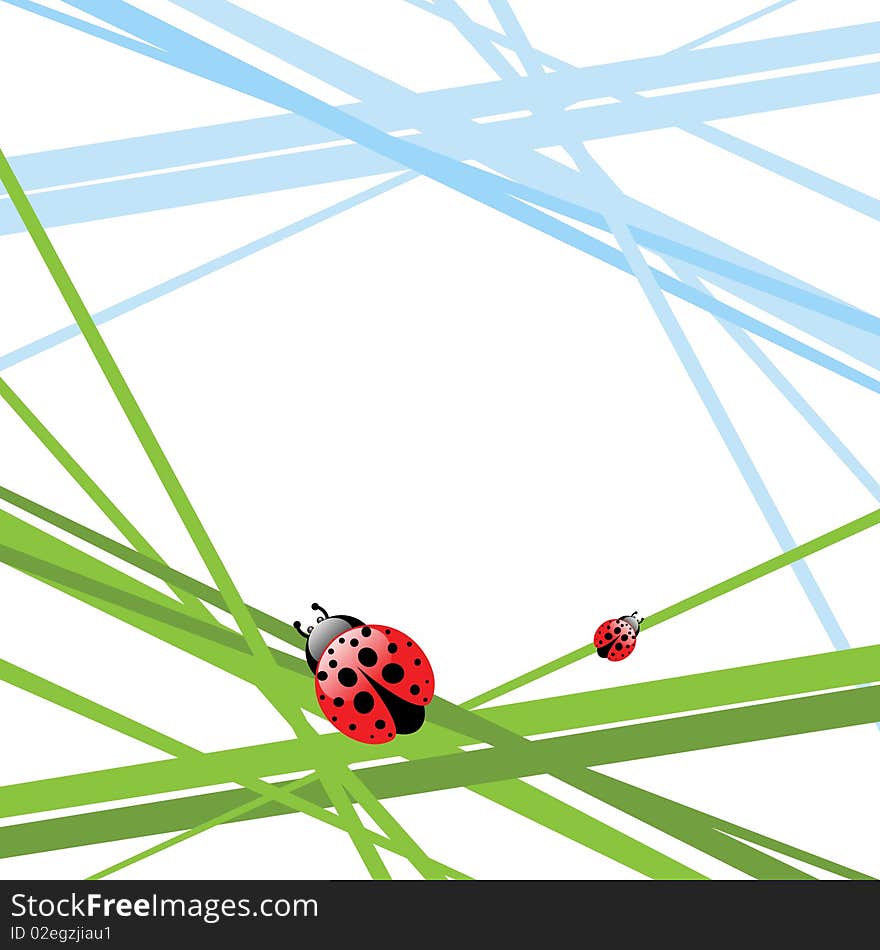 Grass with ladybird