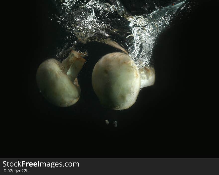 Champignons in water champignon dark