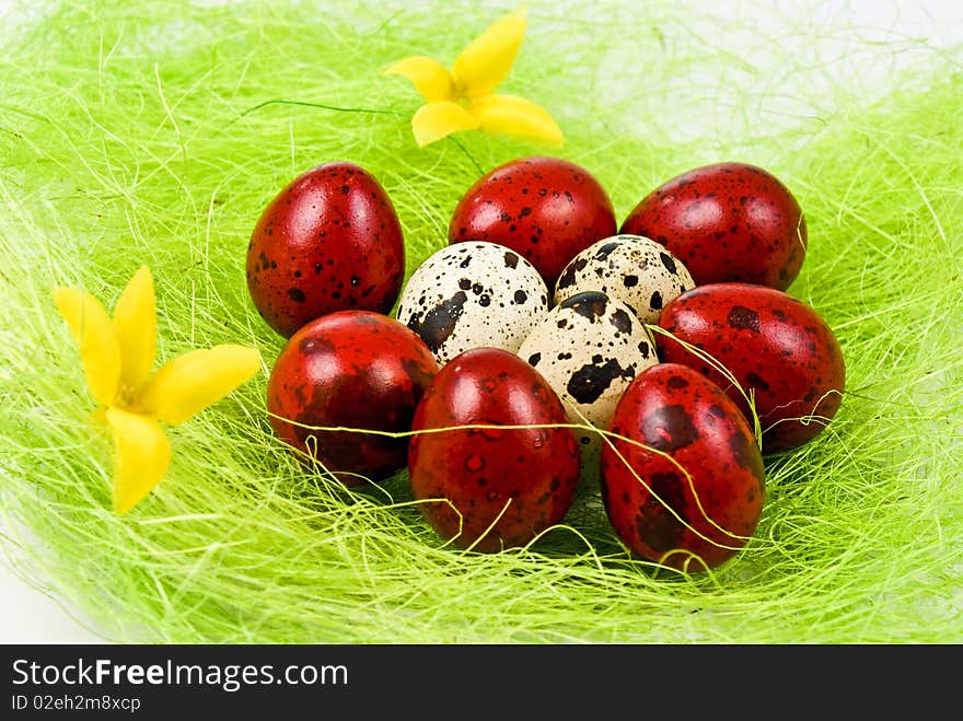 Easter eggs on green grass