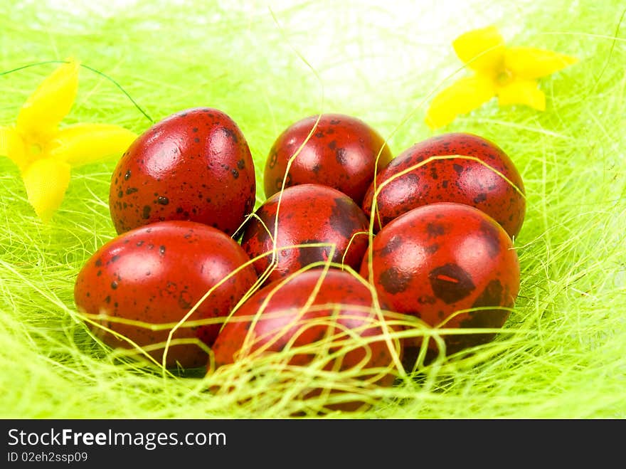 Easter eggs on green grass