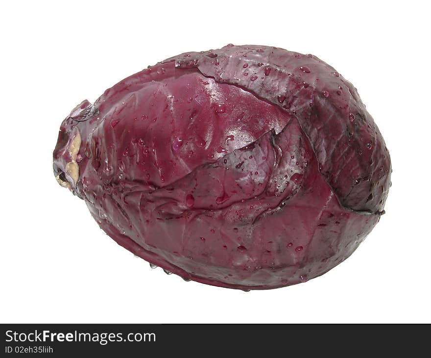 Red Cabbage - hand made clipping path included