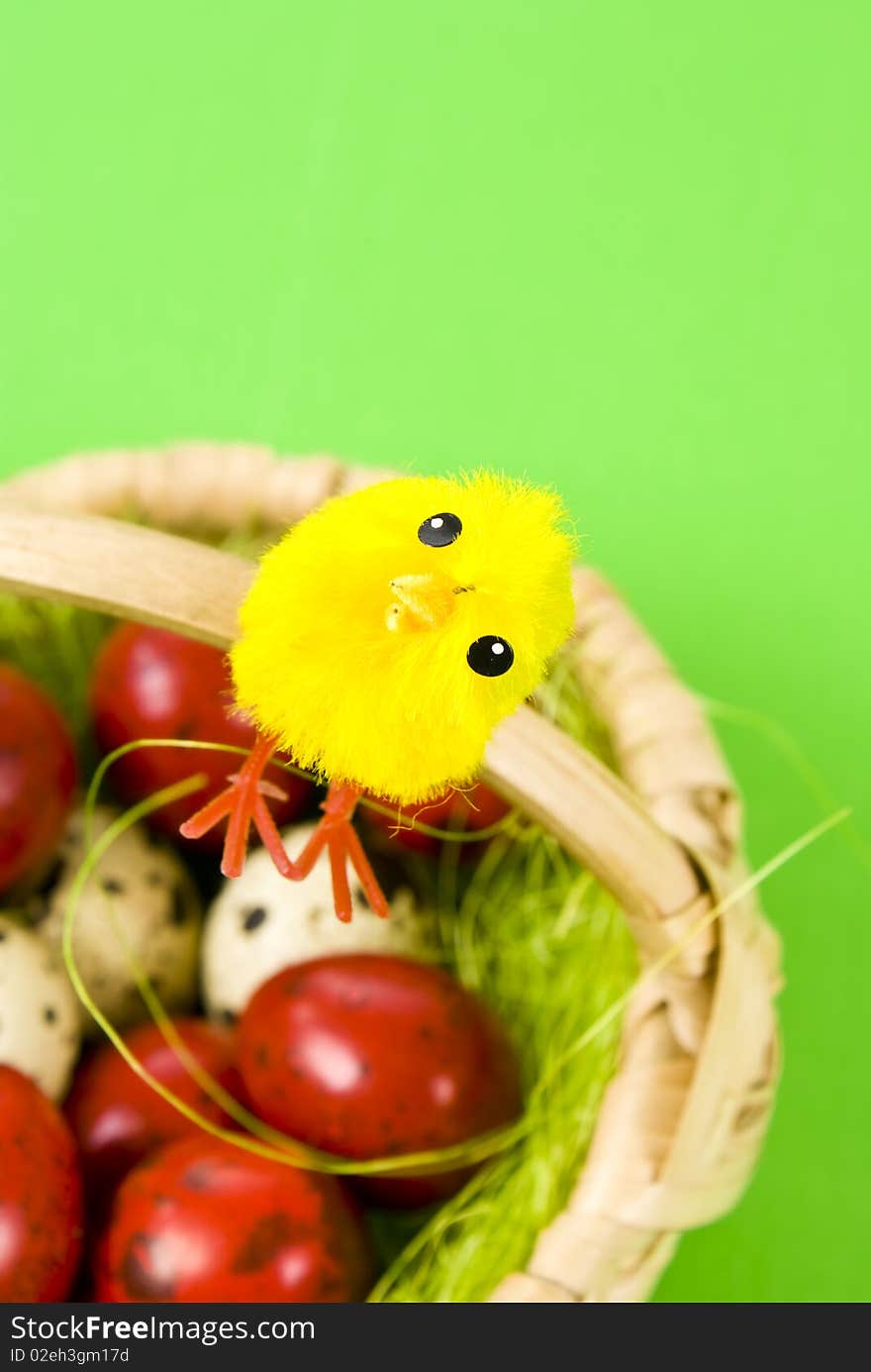 Easter eggs and chicken on green background