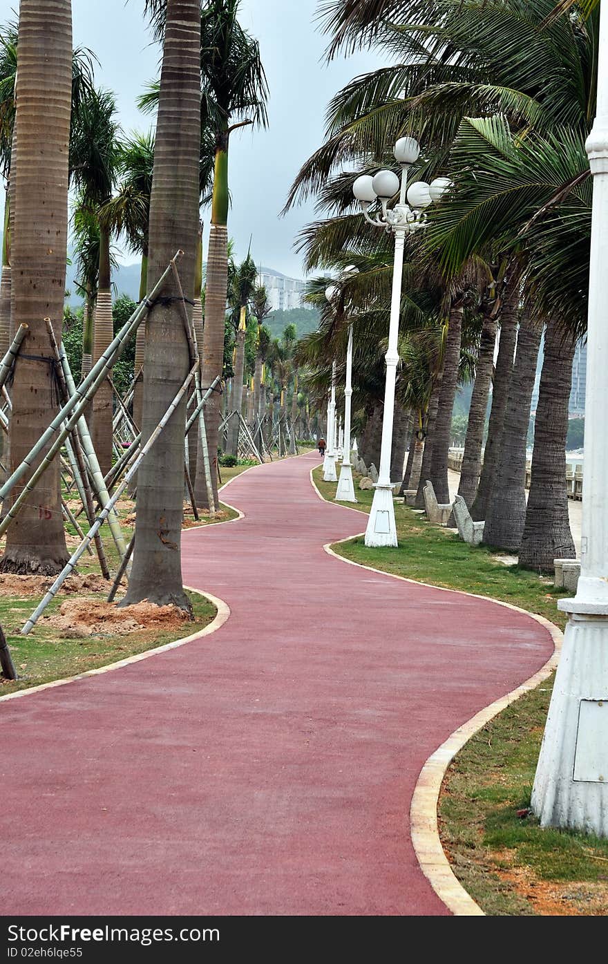 Red bike path winding forwards with trees at greenway