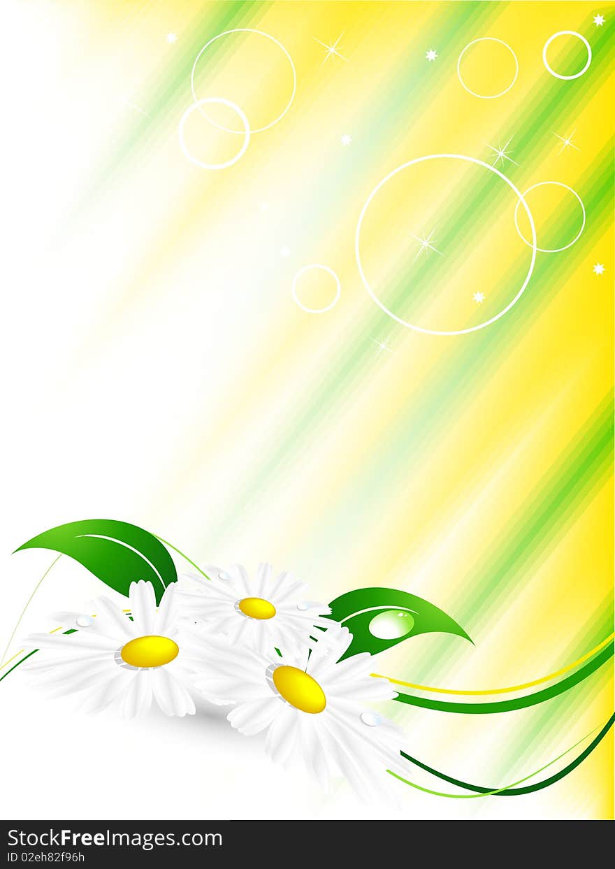 Abstract summer background with  chamomiles