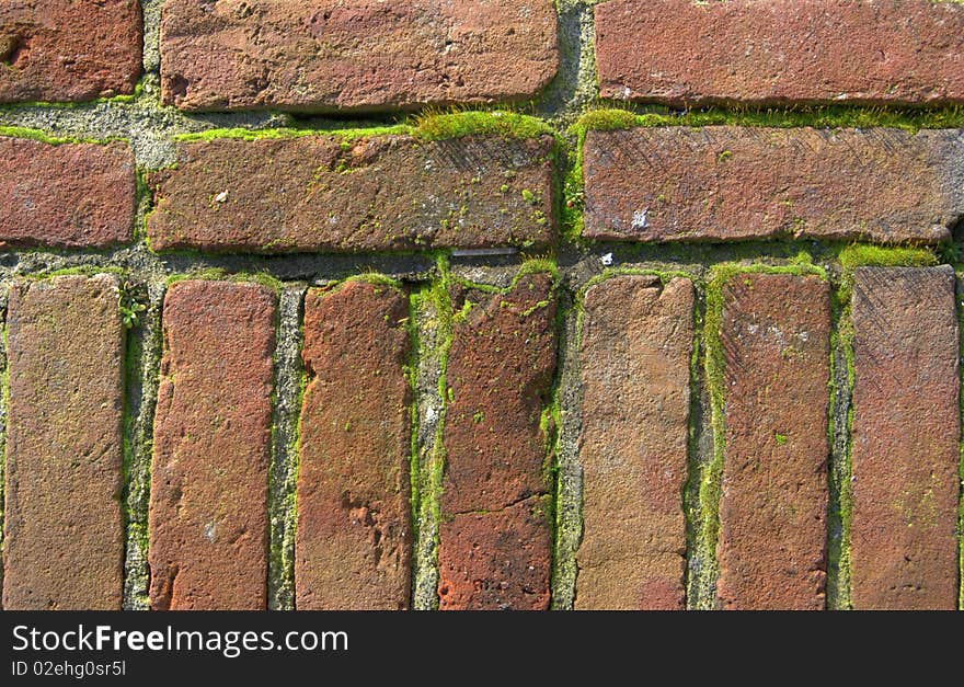 Bricks With Moss