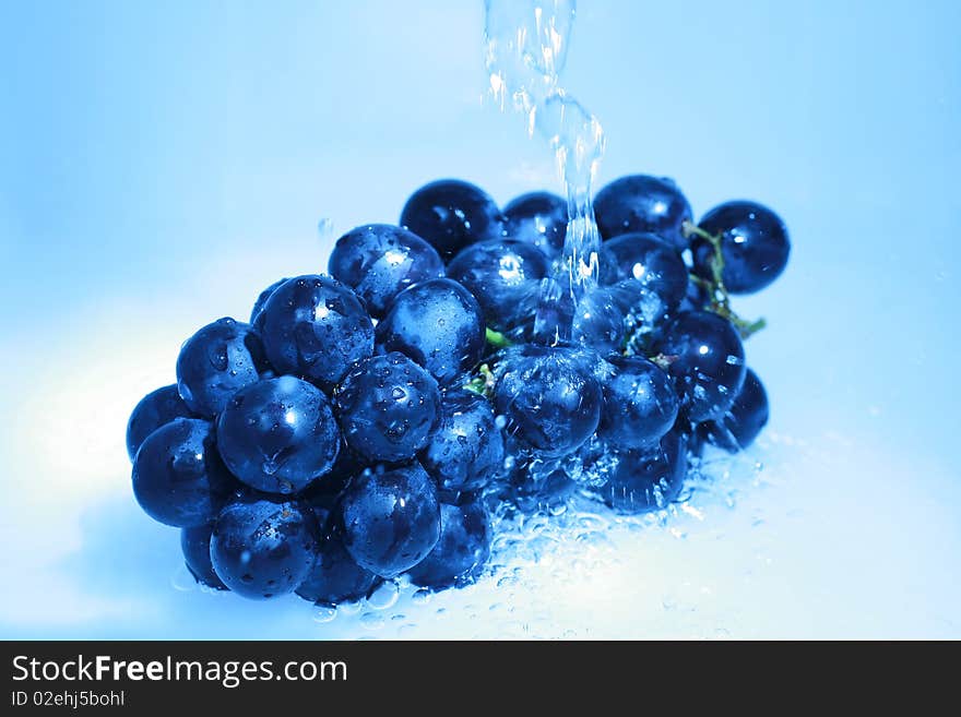 Blue grape  isolated with water