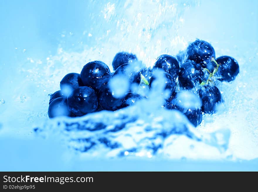 Blue grape isolated with water