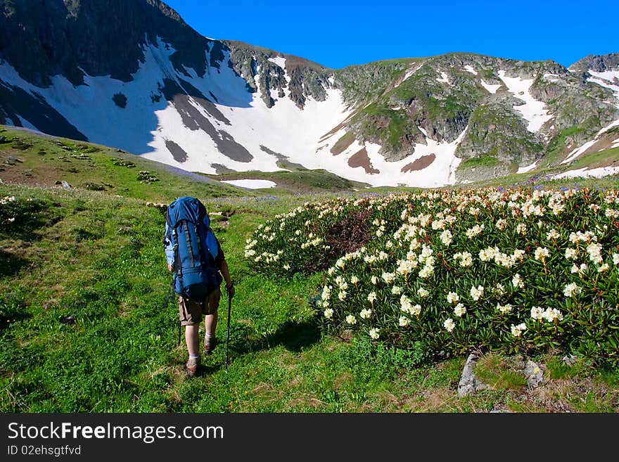 Happy hiker in Caucasus mountains