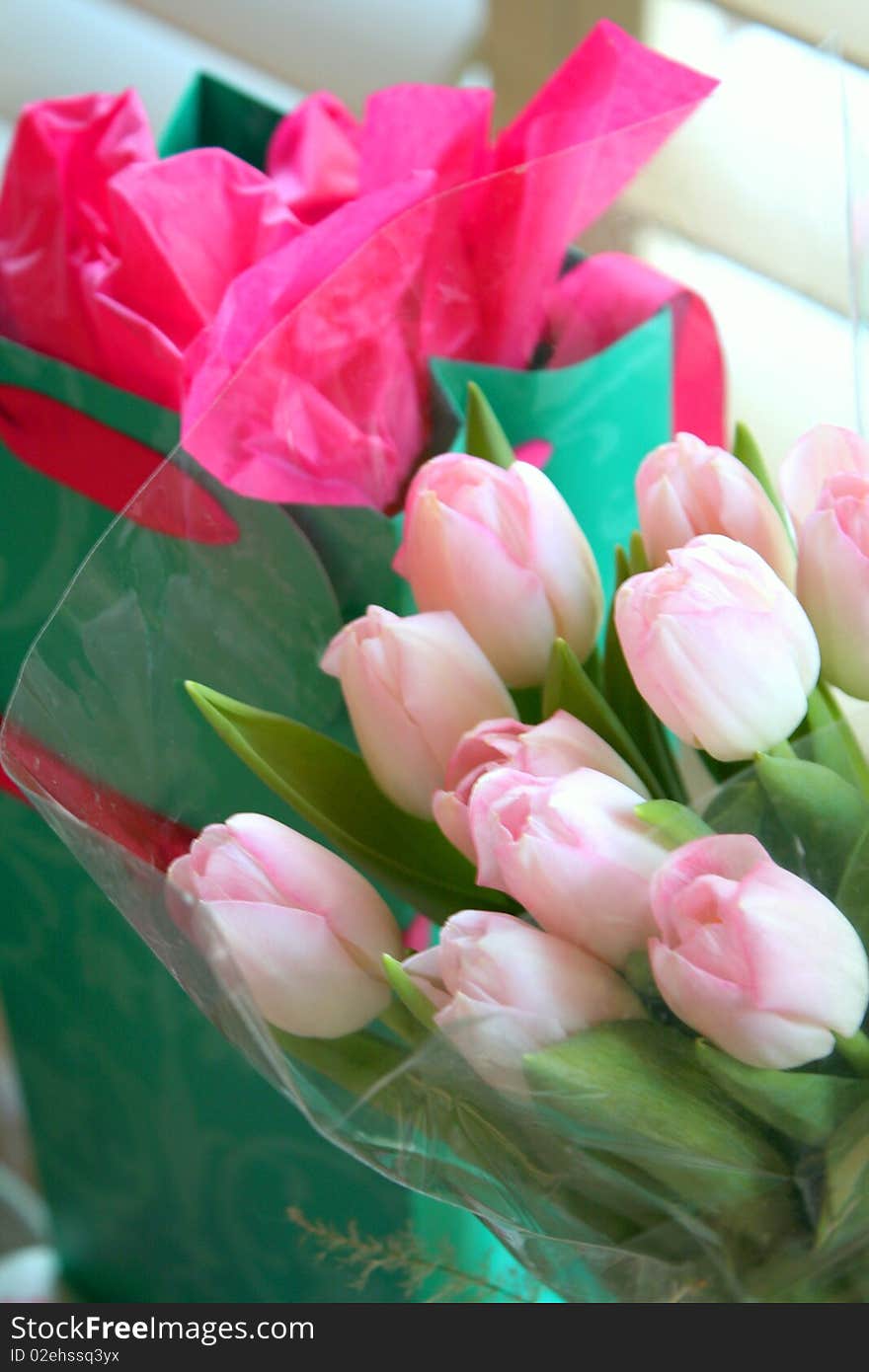 Fresh tulips for your lover