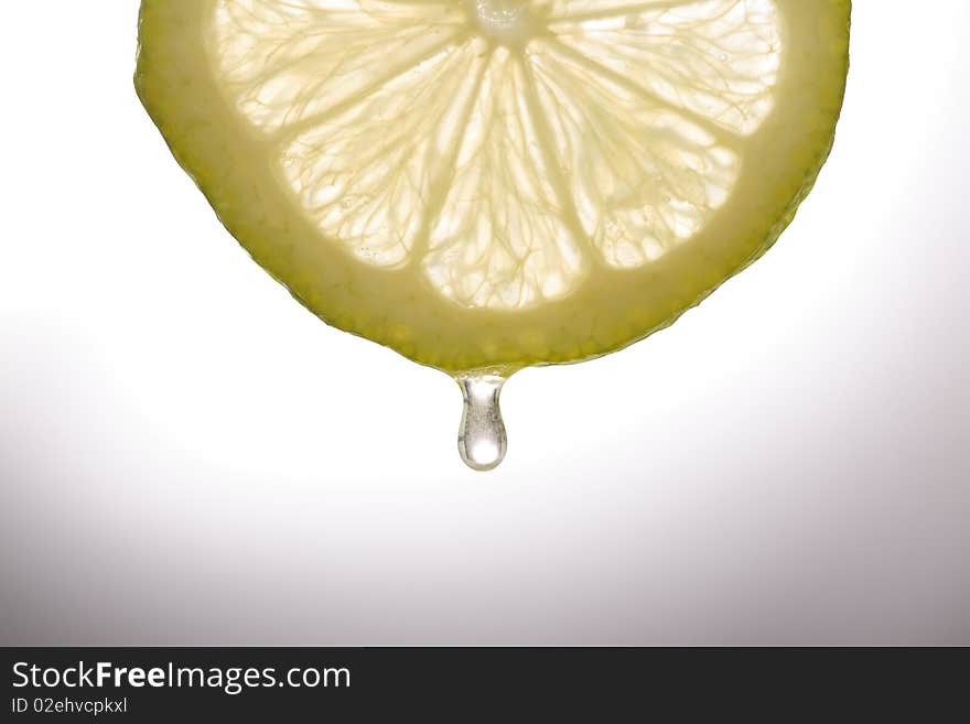 Close up of a slice of lemon with water drops.