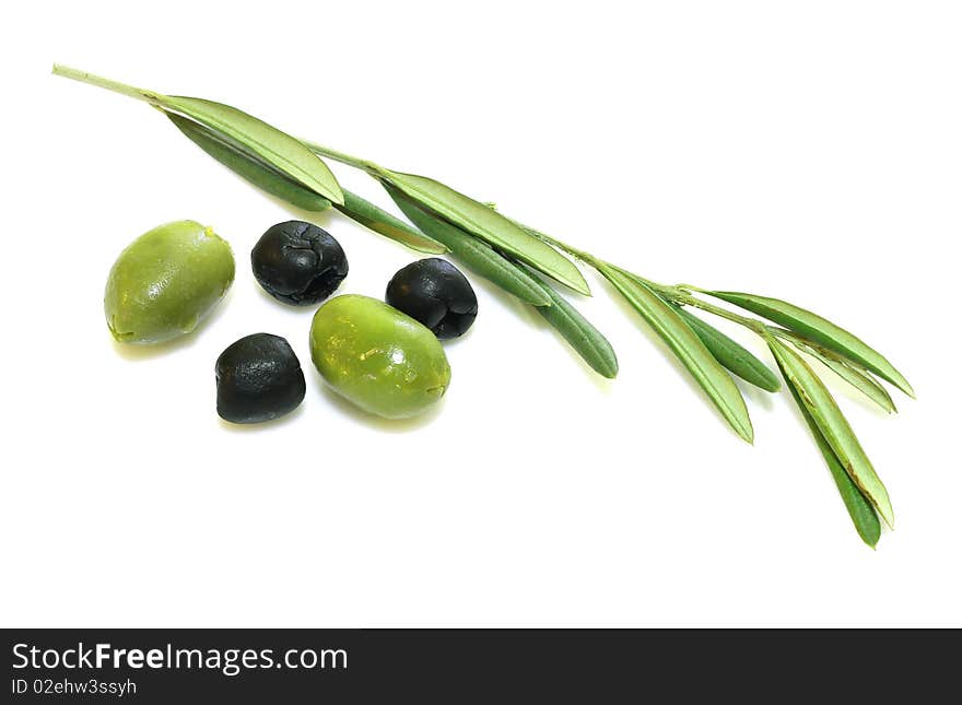 Blach and green olives on white background