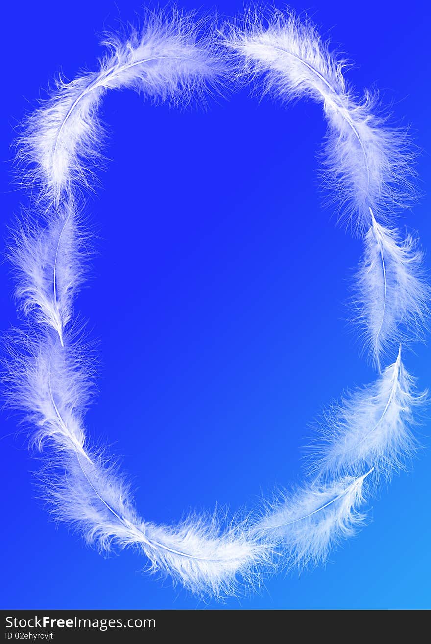 White feathers - oval frame