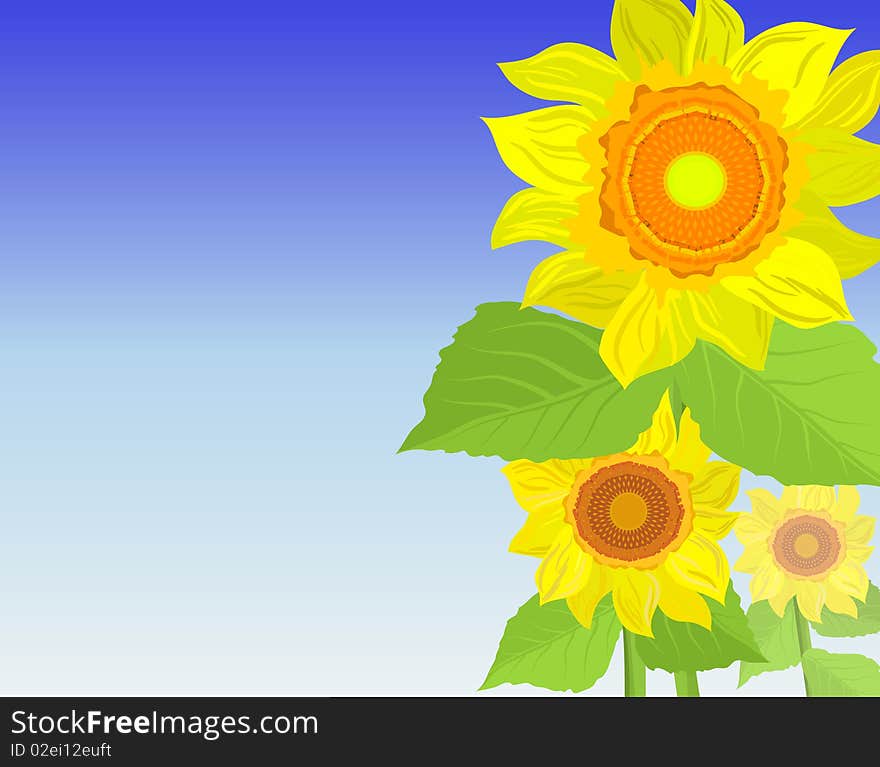 Background With Sunflowers