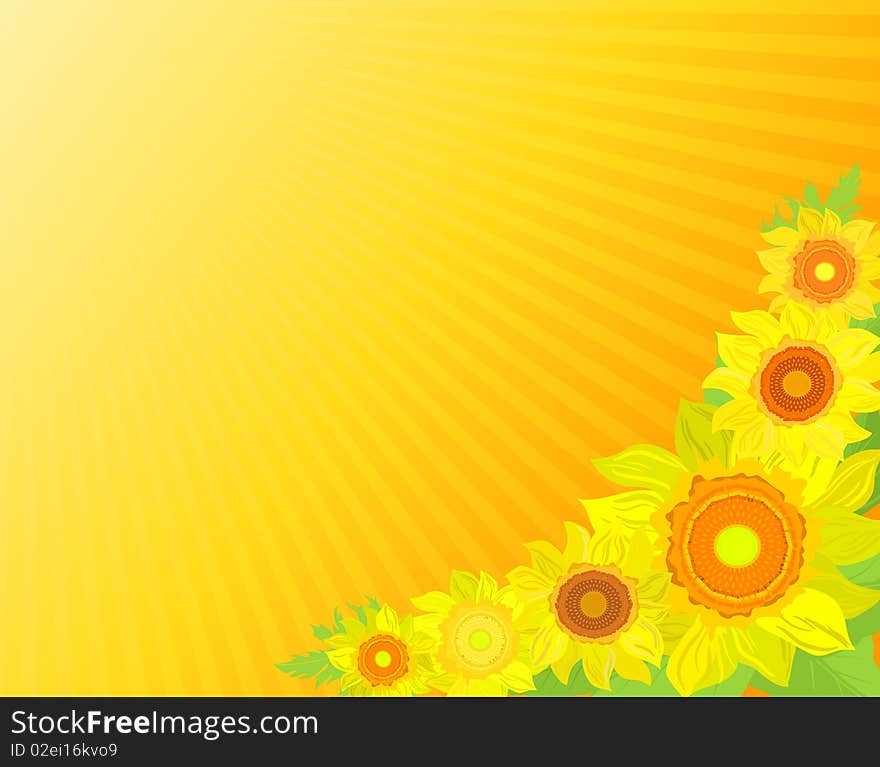 Background with sunflowers, illustration with copy spase area