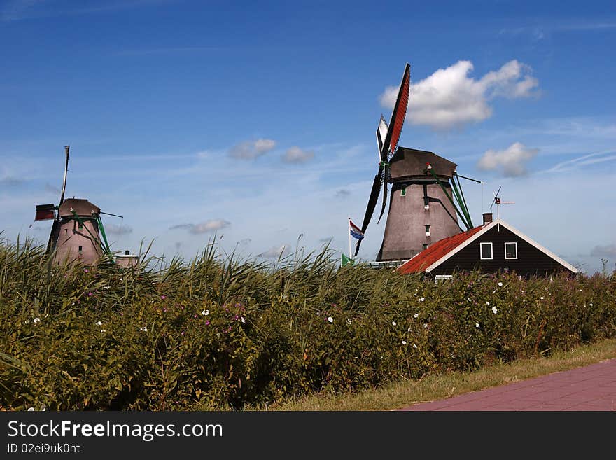 This is dutch landscape in Zaans Schans. This is dutch landscape in Zaans Schans