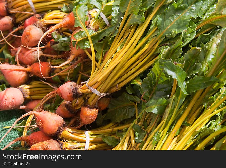 Multiple orange beet roots basking in the sun.