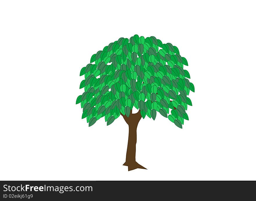 Illustration tree with foliage on white background. Illustration tree with foliage on white background