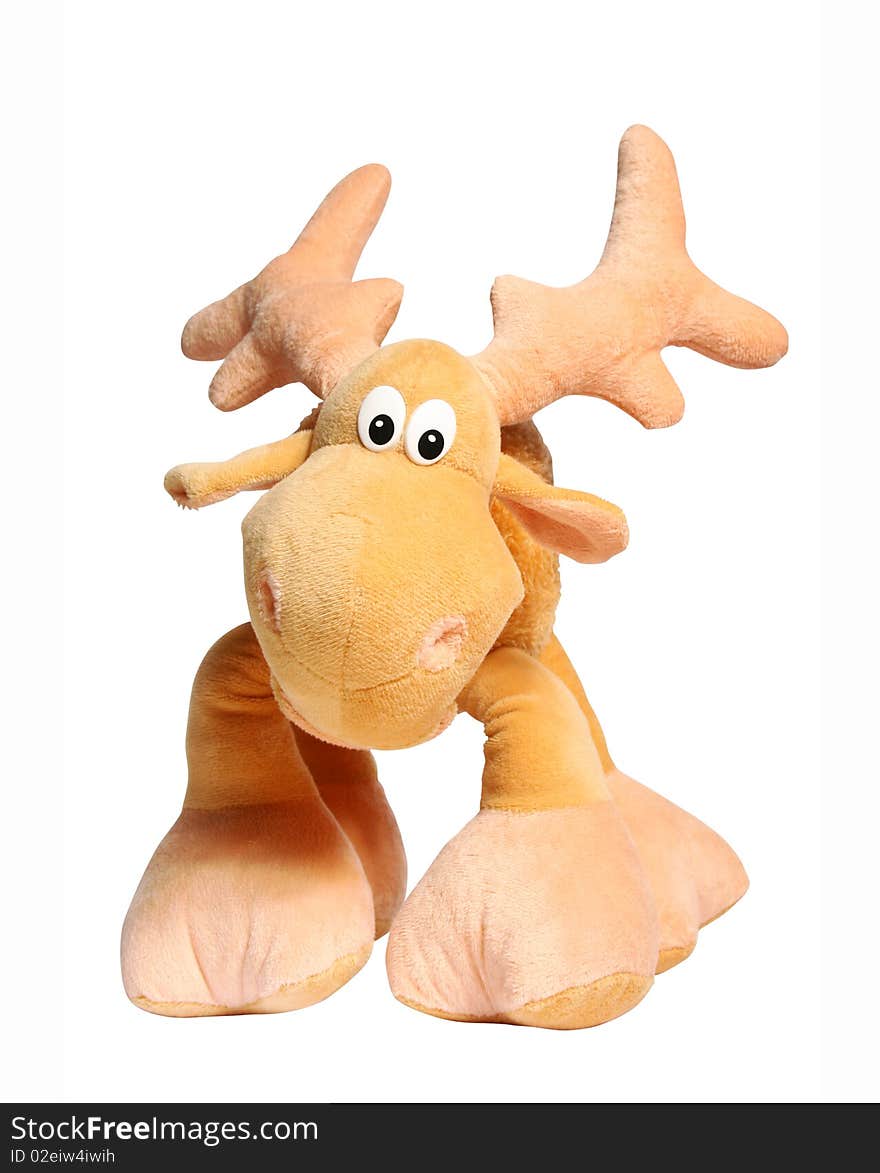 Toy deer isolated on the white