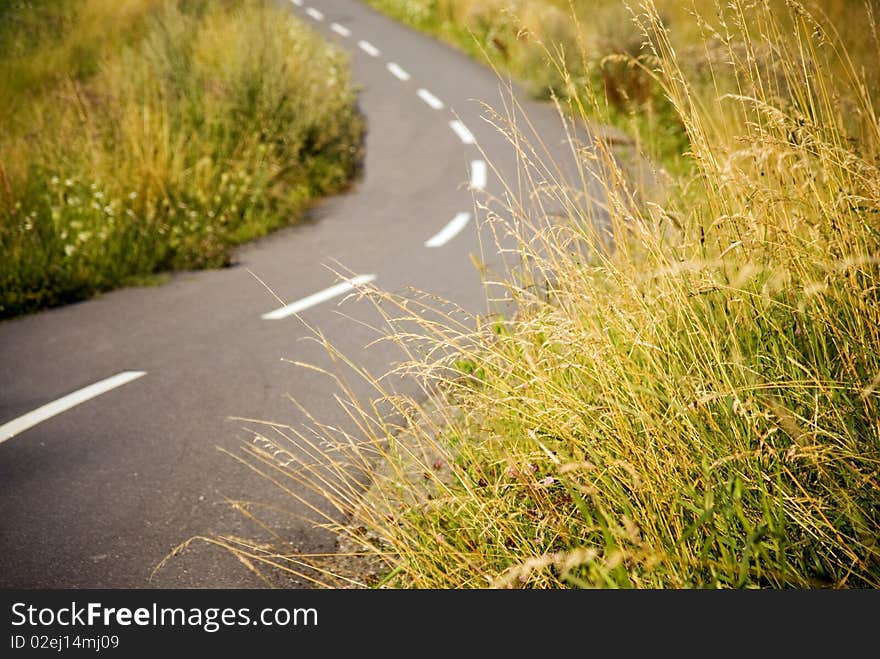 Asphalt bicycle path in a field