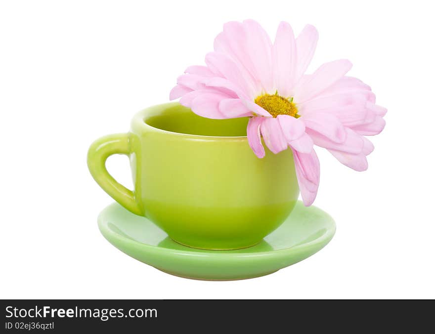 Close-up green cup with flower, isolated on white