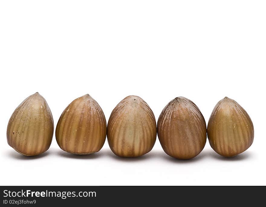 A line of hazelnuts.