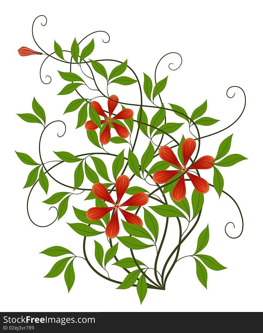 Red flower and green leaves