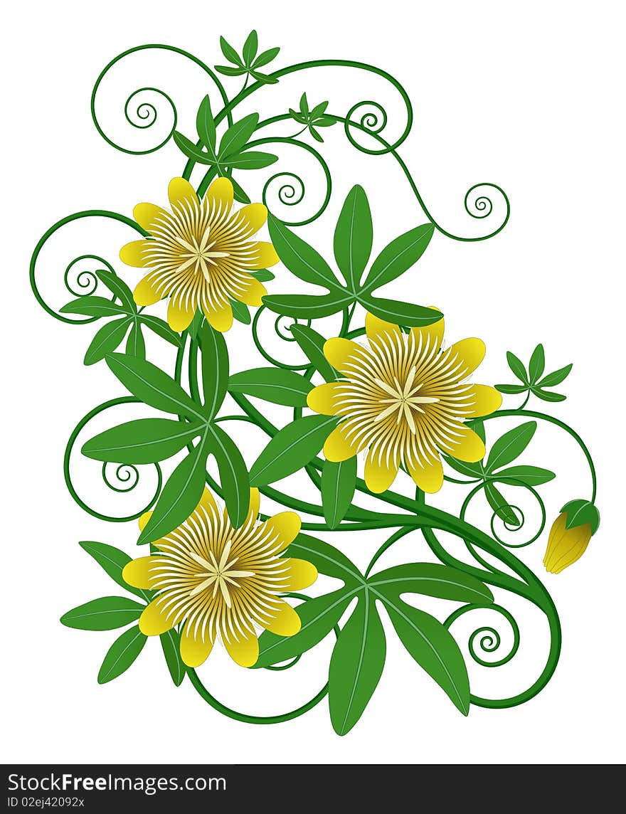 Yellow Flower And Green Leaves