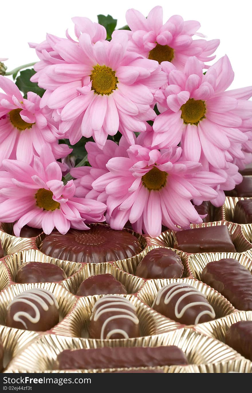 Close-up set of chocolate and chrysanthemum flowers