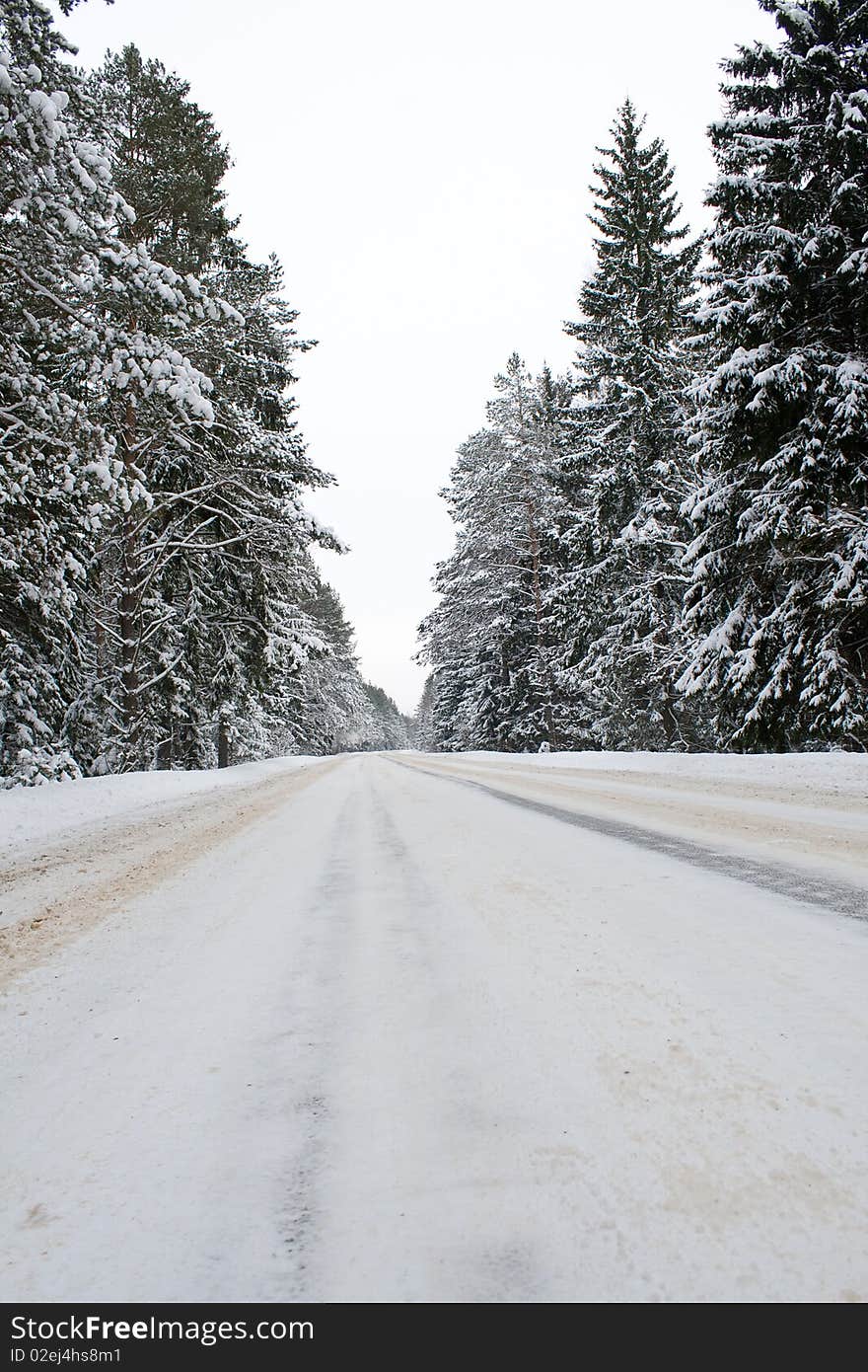 Snowy Country Road