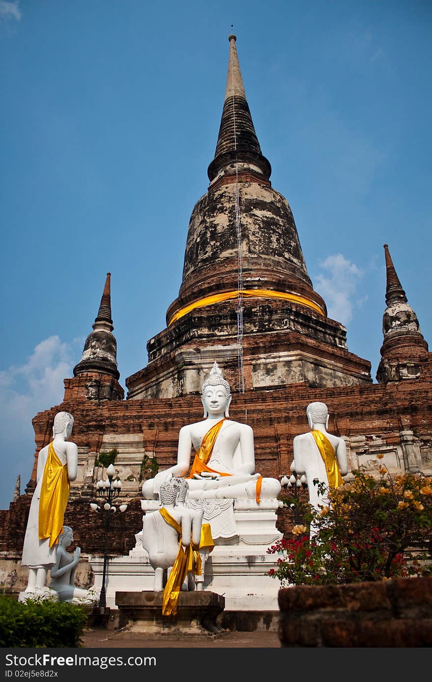 Thai Buddha image of thailand