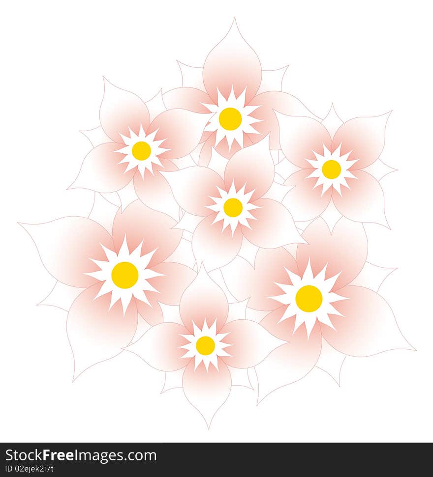 Drawing of beautiful flower in a white background. Drawing of beautiful flower in a white background